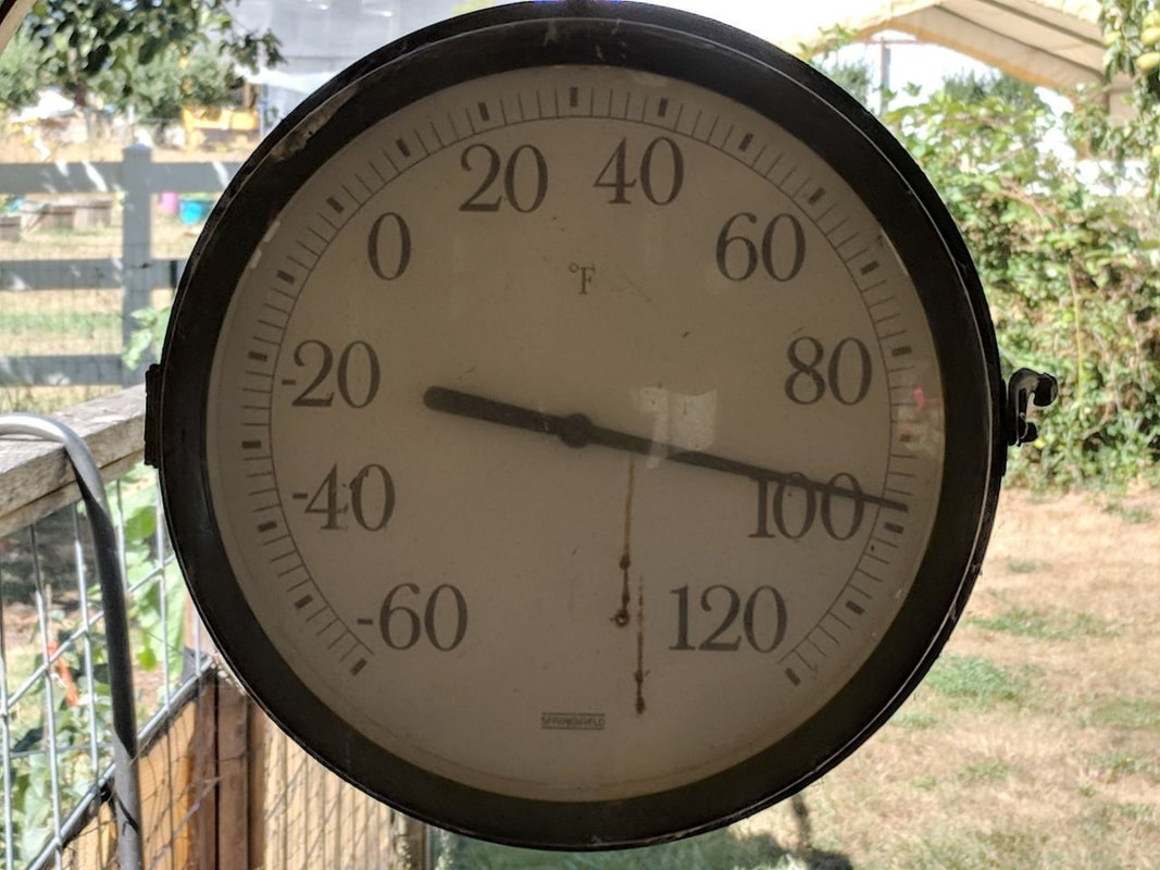 A thermometer is shown reaching nearly degrees on a hot day in Alabama. {Photo by Rosemarie Stein}