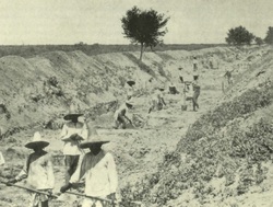 1895 Mexico farming