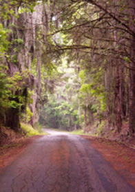 Alabama Heritage Old Federal Road