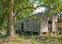 Alabama Heritage Cedarwood