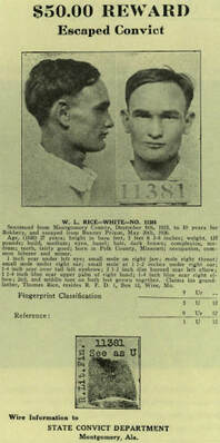 A newspaper clipping of an early 20th century arrest warrant for W. L. Rice. 
